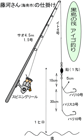 アイゴ釣り